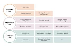 15 Accountancy Finance And Business Exams Icaew