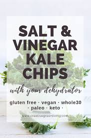How To Make The Best Salt Vinegar Kale Chips In Your Dehydrator Recipe In 2020 Dehydrator Recipes Kale Chips Kale Chip Recipes