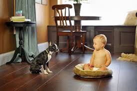 Why Laminate Floors Stand Up Better To Pets Many Homeowners Have Seen Their Beloved Dogs Pretty Much Shredd With Images Laminate Flooring Flooring Remodeling Floor Plans