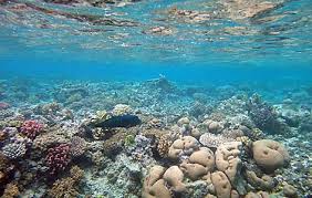 The pacific project migration firm investigated over ads promising vanuatu passports. Cruises To Mystery Island Vanuatu Royal Caribbean Cruises
