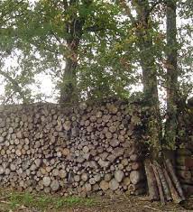 Maybe you would like to learn more about one of these? Stephane Dutrouilh Vente De Bois De Chauffage Agen Marmande 47
