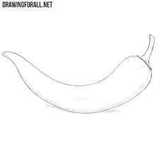How To Draw A Chili Pepper Drawingforall Net How to make homemade eggnog. how to draw a chili pepper