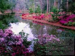 مناظر طبيعية خلابة قولوا سبحان الخالق Beautiful Gardens Beautiful Flowers Garden Gorgeous Gardens