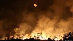 Es importante conocer a que tipo de incendio podemos enfrentarnos para de ese modo. Portugal Muere Un Bombero De 21 Anos En Incendio Forestal Europa Al Dia Dw 26 07 2020