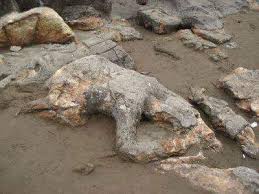 Ia telah menikah dengan wanita pilihannya. Si Tanggang Anak Durhaka Batu Malin Siakap Keli Press ÙÙŠØ³Ø¨ÙˆÙƒ