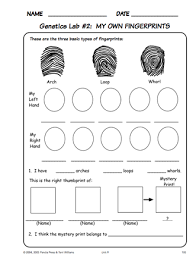 • the second part is actually testing it. Pin By Tricia Stohr Hunt On Process Skills Science Tools Science Curriculum Science Activities Homeschool Science