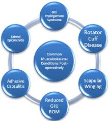 Firm, as opposed to the normal, more spongy tissue of the breast. Breast Cancer Patients Musculoskeletal Problems Experienced Physiopedia