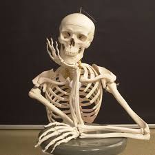 The bones provide a structural framework and protection to the soft organs. The Four Types Of Bone