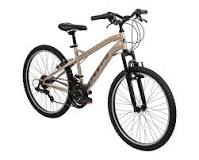 Bicicleta rodada 24: Guía completa y beneficios | Coppel.com