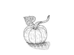The drawing will be signed and dated on the front. Embrace The Fall Spirit And Learn How To Draw A Pumpkin