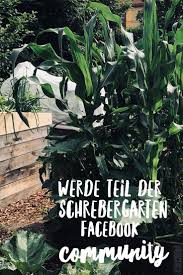 Komme In Die Schrebergarten Facebook Gruppe Schrebergarten Bepflanzung Garten