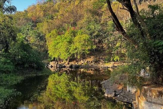Sanjay Gandhi National Park and Kanheri Caves Day Private Tour (with Reviews)