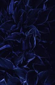 55 Ideas Darkblue Wallpaper Dark Blue Dark Blue Wallpaper Navy Wallpaper Blue Wallpapers