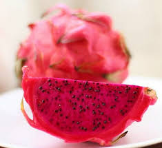 Organic Heirloom 50 Purple Dragon Fruit Cactus Pitaya Hylocereus Tree Fruit Seeds Tropical Sweet Red Flesh Ex Dragon Fruit Purple Dragon Fruit Red Dragon Fruit