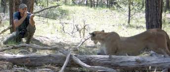 We did not find results for: Mountain Lion Research In Grand Canyon Grand Canyon National Park U S National Park Service
