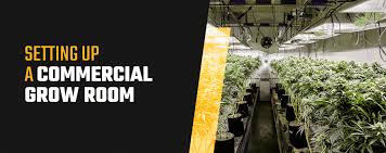 I was in the process of looking for the best ozone generator for growing room when i tried this device. How To Set Up A Commercial Grow Room Woodstock Power