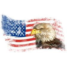 Maybe you would like to learn more about one of these? Adler Flagge Fahne Usa Weisskopfseeadler Vintage Manner Premium Hoodie Spreadshirt
