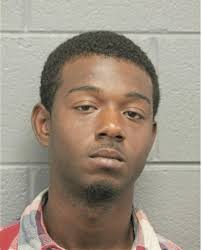 ᐅ Illinois Criminal Records 2009-2025