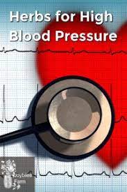 Herbs For High Blood Pressure Joybilee Farm