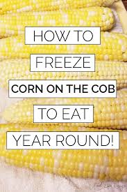 We did not find results for: How To Freeze Sweet Corn For Summery Goodness Year Round Food Life Design