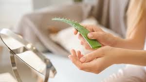 Dabei sind vier wochen ohne wasser für die wüstenlilie keine herausforderung. Aloe Vera Gel Die Beste Naturliche Hautpflege