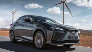 Image result for Black Onyx 2023 RZ