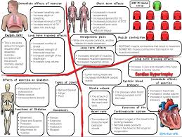 Pin By Craig Nipperess On Teaching Ideas Pe Lessons Physical Education Lessons Gcse Pe