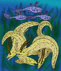 Image result for Harpachne