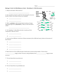 Ariana santiago dna mutation simulation : Dna Mutations Worksheet Shefalitayal