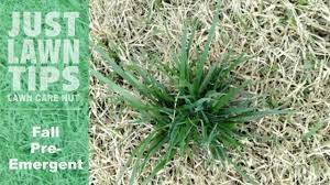 Welcome to the official site of allyn hane, the lawn care nut from youtube. Why Fall Pre Emergent Is So Important Youtube