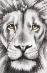 Learn how to draw lion realistic pictures using these outlines or print just for coloring. How To Draw A Realistic Tiger Face Step By Step Drawing For Kids
