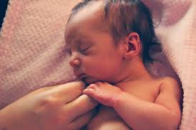 Danielle Bice Photography