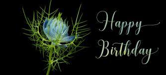We did not find results for: Beautiful Happy Birthday Flower Gifs