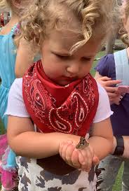 Emily Bott (@EBottHuntspill)