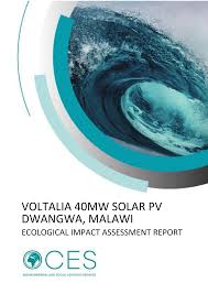 Image result for Blepharis acanthodioides