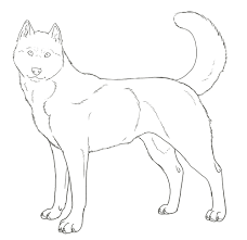 Husky has a proportionate build, muscular and robust, but not for this little elegant. Husky Coloring Pages Best Coloring Pages For Kids