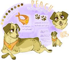 Commission Peach By Babywolverines Deviantart Com On Deviantart Dog Design Art Canine Art Puppy Art