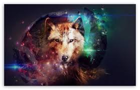 We've gathered more than 5 million images uploaded by our users and sorted them by the most popular ones. Wolf Wallpaper Tablet