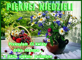 950 r.), będący przewodnikiem po celebracjach roku liturgicznego, umieszcza tę modlitwę w niedzielę palmową przed mszą, na początku obrzędu. 12 Niedziela Obrazki Zdjecia Na Facebook Obrazkionline