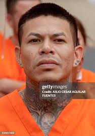 217 Chico Cesar Stock Photos, High-Res Pictures, and Images