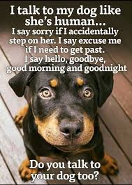 Animals Without Necks That Are Cute And Funny 21 Pics Dog Quotes Love Funny Animal Photos Dogs