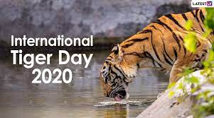 Global tiger day often called international tiger day is a day to promote and spread awareness about tiger conservation. International Tiger Day 2021 Images And Hd Wallpapers For Free Download Online Whatsapp Stickers And Photos Of The Big Cats To Raise Awareness For Tiger Conservation
