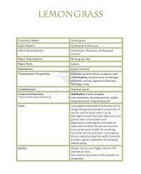 Pin On Aromatherapy Essential Oils Aromaterapia Aceites Esenciales