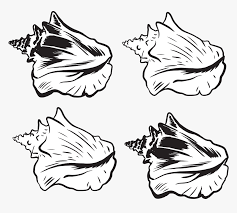 Maybe you would like to learn more about one of these? Transparent Shell Clipart Black And White Conch Shell Png Vector Png Download Kindpng