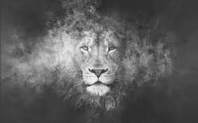 Feel free to suggest these post to your friends, so they too can choose a new wallpaper for their phone. Cool Lion Backgrounds Lion Background 2880x1800 Wallpaper Teahub Io