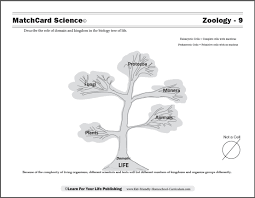 Biology Tree Of Life
