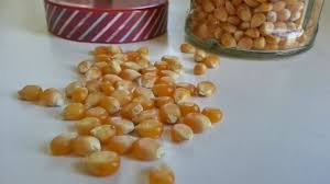 Besseres Popcorn Und Es Platzen Viel Mehr Maiskorner Popcorn Popcorn Machen Und Korn