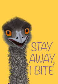 Caution Emu Bites Funny Illustration Funny Tshirt Design Emus Art