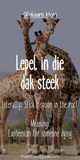 Afrikaans Expressions Lepel In Die Dak Steek Afrikaans Idioms Afrikaans Quotes