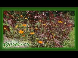 Menu & reservations make reservations. Wholesale Flowers Nashville Tn Open To Public 08 2021